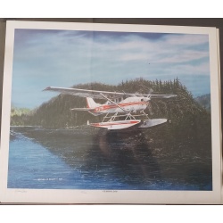 Cessna-206 by Steve Daley
