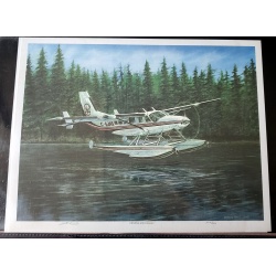 Cessna 208 Caravan