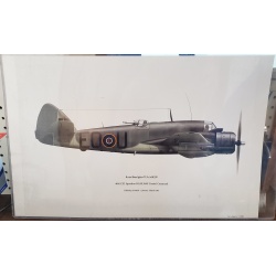 Bristol Beaufighter by Terry Higgins