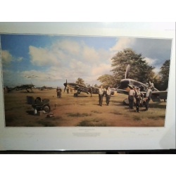 Eagles On The Channel Front - by Robert Taylor