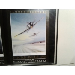 Focke-Wulf Fw 190 famous fighters