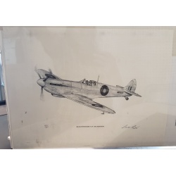 Recon Spitfire Mark V of #542 squadron - by Sean D Cassidy