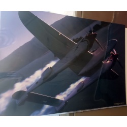 P-38 Lightning Ghost series