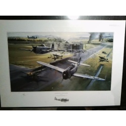 Morning Thunder By Bailey  P47