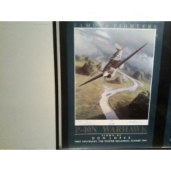 P-40 N famous fighters