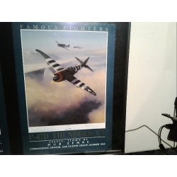 P-47 D famous fighters