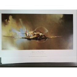 Spitfire - by Barrie Clark - medium